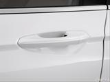  Drivers Side Door handle photo